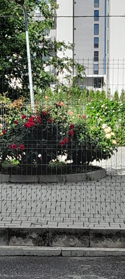 Coresi, 2 Camere, Sleeps 6 Large Private Garden Apartment Pets Welcome Brasov Exterior photo